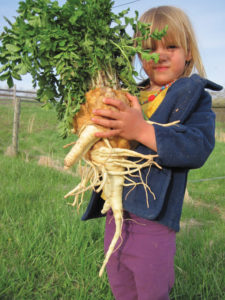Young girl holding parsnip
