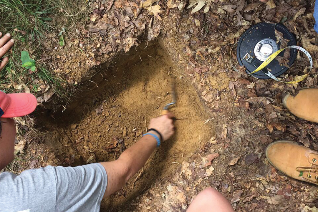 Unearthing the Forest's Lost History Magazine