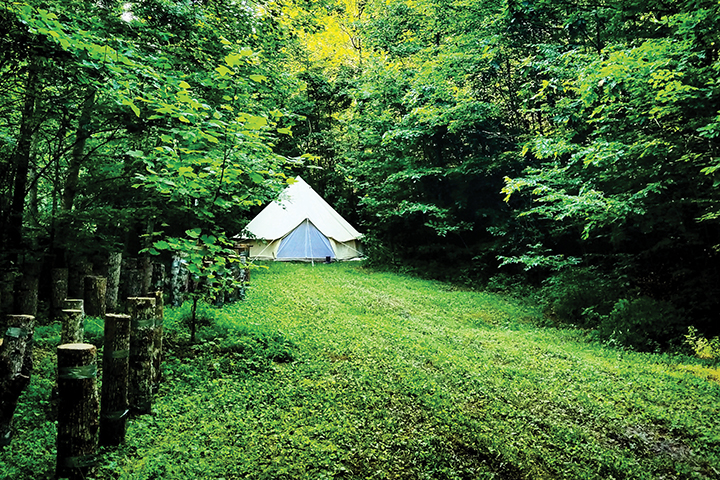 Homegrown HideAways yurt