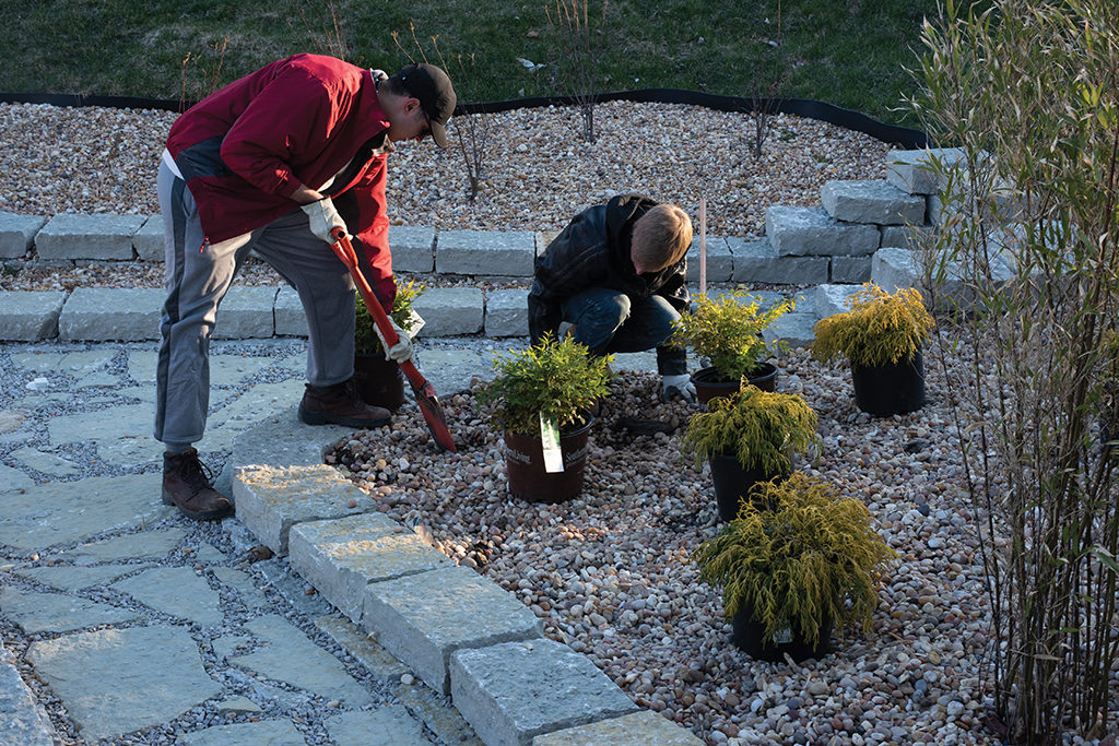 Grounds Crew students install new plants