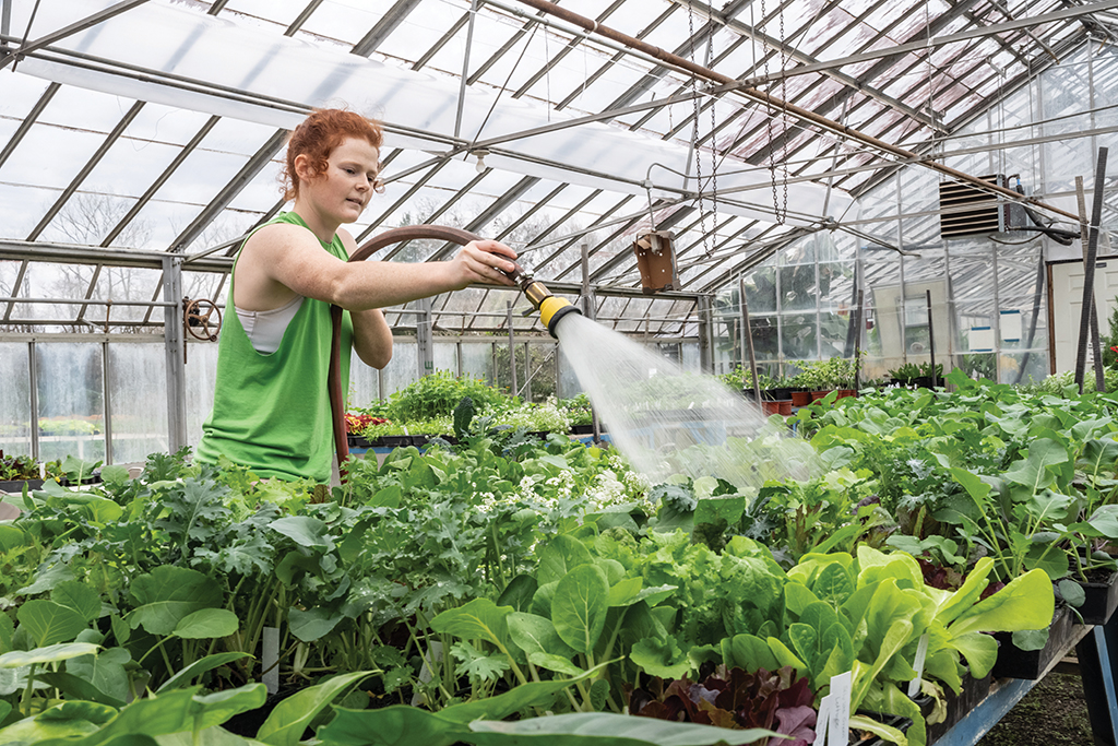Student worker at the Berea College Greenhouse