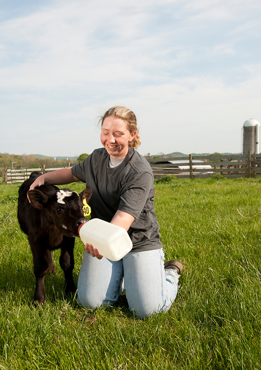 Berea College female student feeding a calf with a bottle