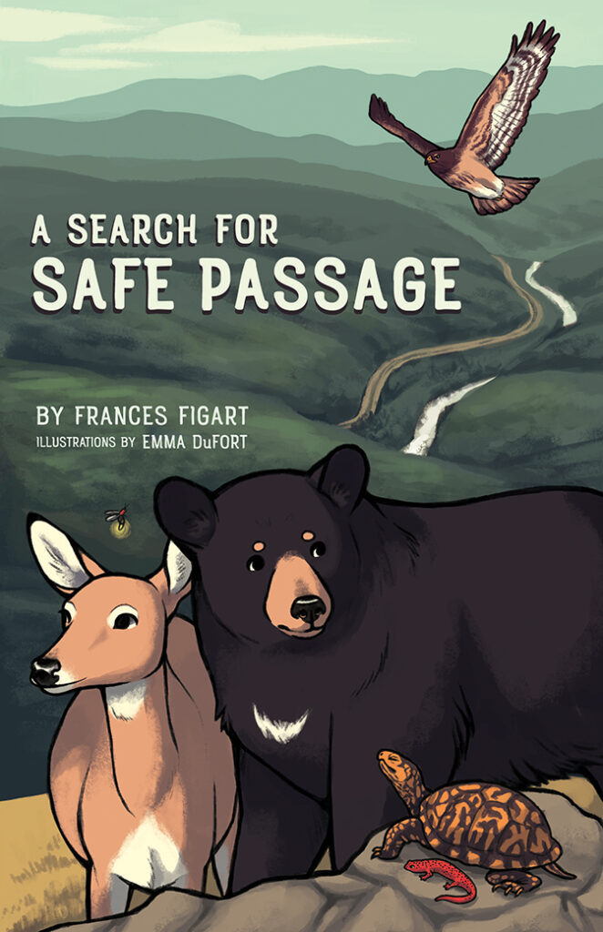 A Search of Safe Passage book cover
