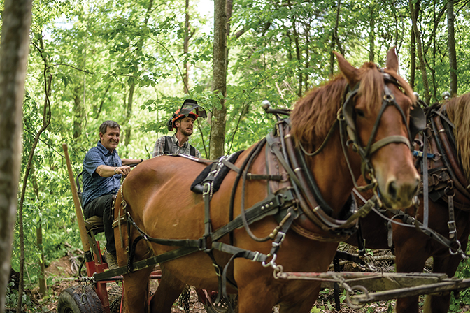 Photo of Dr. Lyle Roelofs riding with a College horse logger and two of the College horses in the forest