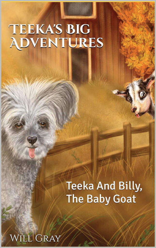 Cover of the book "Teek's Big Adventures" by Will Gray