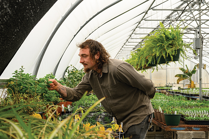 Zac Hutchinson examines plants growing inside a greenhouse.