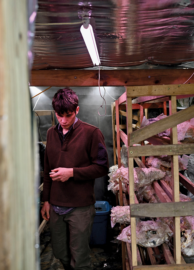 Elijah Hicks ʼ23 checks on mushrooms in the indoor environment conducive to their proper growth. Elijah and his wife, Moriah Wilbur ʼ21 grow various types of mushrooms on their property, Forest Forager Farm, in Slade, Kentucky.