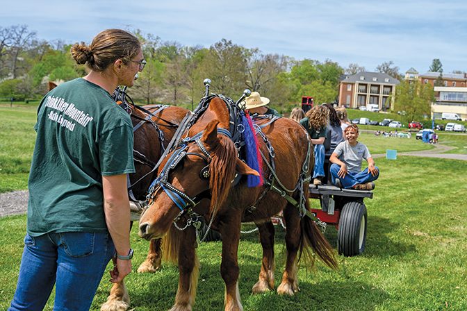 Close up of the horses pulling the tractor and trailer for the hay rides on Alumni field